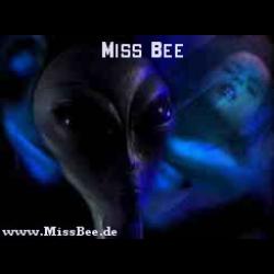 Miss Bee
